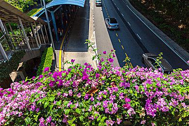 晚买享折扣！ 《剑星》Steam首次打折